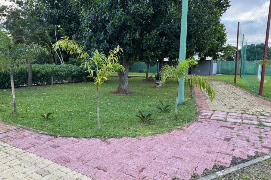 Qual o Melhor Caminho para se Recuperar dos Vícios? Guia Completo com Tipos de Dependência e Tratamentos