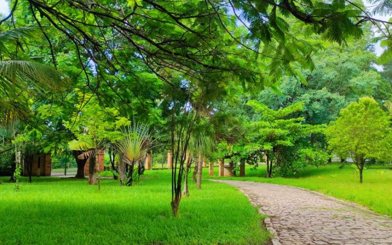 Foto principal da clínica Clínicas de Recuperação Casoto em Conchal- SP