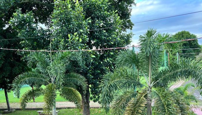 Foto da clínicaClínicas de Recuperação Casoto na Rodovia Índio Tibiriçá KM 65 em Suzano- SP