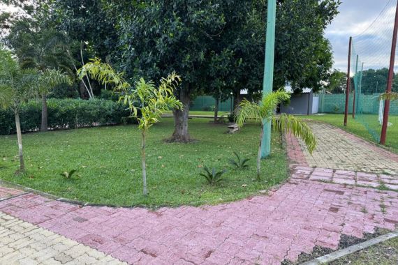 Qual o Melhor Caminho para se Recuperar dos Vícios? Guia Completo com Tipos de Dependência e Tratamentos