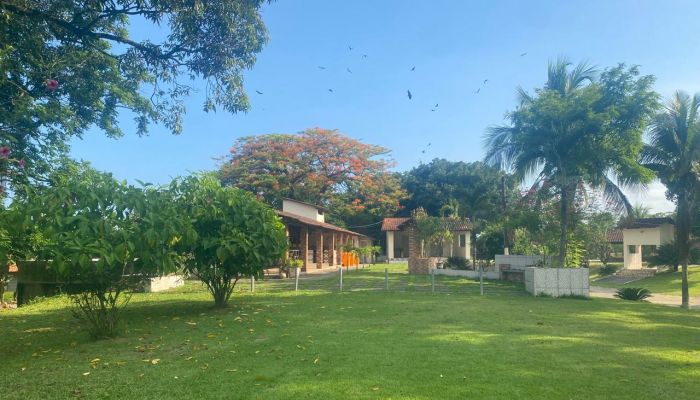 Foto da clínicaClínicas de Recuperação Casoto em Nova Iguaçu- RJ