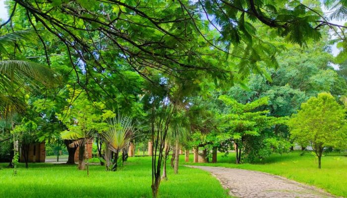 Foto da clínicaClínicas de Recuperação Casoto em Conchal- SP