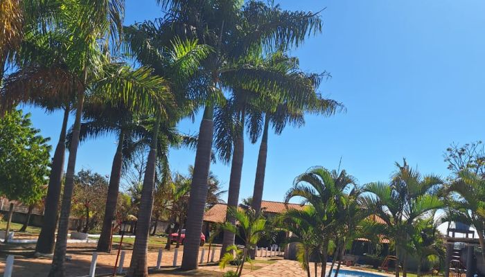 Foto da clínicaClínicas de Recuperação Casoto em Ceilândia- DF