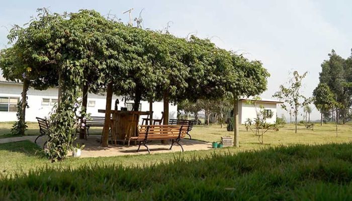 Foto da clínicaClínicas de Recuperação Casoto de Alto Padrão